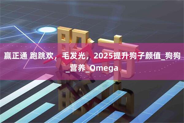 赢正通 跑跳欢，毛发光，2025提升狗子颜值_狗狗_营养_Omega
